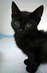     
: DSC_1737.jpg
: 13
:	43.3 
ID:	11283909