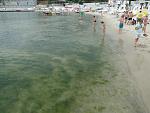     
: DSC03328.jpg
: 96
:	149.3 
ID:	11285516