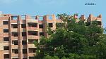     
: 20160625_155225.jpg
: 19
:	241.9 
ID:	11287683