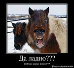     
: c1873b94ffe8.jpg
: 13
:	69.7 
ID:	11287688