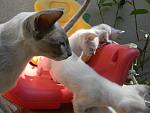     
: DSCN1652.jpg
: 15
:	105.8 
ID:	11291214