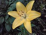     
: 20160624_195928[1].jpg
: 11
:	151.3 
ID:	11291517