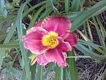     
: 20160624_200158[1].jpg
: 8
:	163.2 
ID:	11291520
