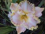     
: 20160624_200415[1].jpg
: 8
:	114.7 
ID:	11291534