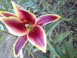     
: 20160624_200554[1].jpg
: 10
:	128.0 
ID:	11291539