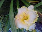     
: 20160624_200448[1].jpg
: 9
:	93.0 
ID:	11291548