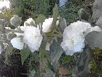     
: 20160624_200524[1].jpg
: 10
:	181.0 
ID:	11291551