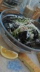     
: IMAG5314.jpg
: 107
:	70.2 
ID:	11291812