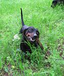     
: IMG_0186i.jpg
: 20
:	214.7 
ID:	1129272