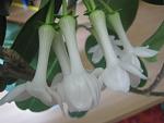     
: IMG_6440.jpg
: 7
:	80.1 
ID:	11292965