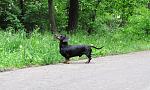     
: IMG_0267i.jpg
: 22
:	205.6 
ID:	1129298