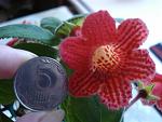     
: DSC09280.JPG
: 22
:	113.3 
ID:	11293032