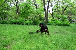     
: IMG_0229i.jpg
: 24
:	281.9 
ID:	1129325