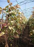     
: IMG_20160609_093933 (1).jpg
: 29
:	187.4 
ID:	11293294