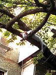     
: IMG_20160703_193643_1467564467658.jpg
: 12
:	145.3 
ID:	11295609