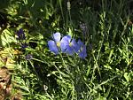     
: IMG_1347.jpg
: 10
:	166.4 
ID:	11296444