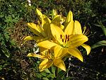     
: IMG_1350.jpg
: 16
:	197.2 
ID:	11296460