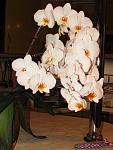     
: IMG_1366.jpg
: 6
:	80.9 
ID:	11296486
