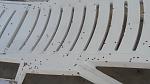     
: 20160701_115718.jpg
: 55
:	64.2 
ID:	11298549
