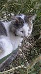     
: 20160705_065525.jpg
: 9
:	93.4 
ID:	11299326