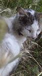     
: 20160705_065528.jpg
: 11
:	70.6 
ID:	11299328