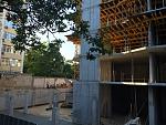     
: IMG_7213.jpg
: 51
:	160.0 
ID:	11302021
