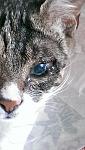     
: IMAG1666.jpg
: 24
:	71.5 
ID:	11302319