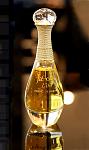     
: J'adore L'Or.jpg
: 22
:	37.5 
ID:	11302518