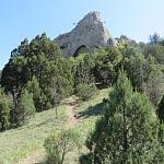     
: IMG_6272.jpg
: 32
:	215.2 
ID:	11302674