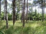     
: IMG_20160706_113041~01.jpg
: 11
:	168.5 
ID:	11303229
