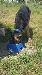     
: CmUReGwBg3c.jpg
: 5
:	150.7 
ID:	11303966
