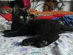     
: DSC07034.jpg
: 15
:	151.8 
ID:	11304275