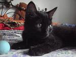     
: DSC07030.jpg
: 15
:	118.8 
ID:	11304276