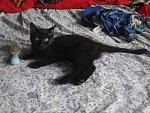     
: DSC07024.jpg
: 12
:	168.0 
ID:	11304277