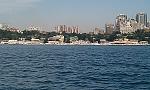     
: IMAG0435.jpg
: 35
:	183.5 
ID:	11304306