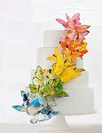     
: image.jpg
: 22
:	62.5 
ID:	11304320