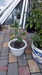     
: IMG_20160522_134348.jpg
: 18
:	96.7 
ID:	11304348