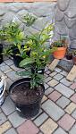     
: IMG_20160522_134341.jpg
: 23
:	111.1 
ID:	11304349