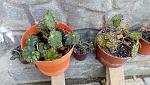     
: IMG_20160522_133735.jpg
: 21
:	201.0 
ID:	11304355