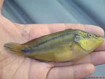     
: DSC00574.jpg
: 87
:	83.7 
ID:	11304531