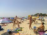     
: Фото0546.jpg
: 23
:	176.8 
ID:	11309967