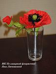     
: DSC_0986.jpg
: 11
:	71.9 
ID:	11310039