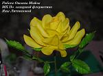     
: ug5awZp2Czw.jpg
: 7
:	161.6 
ID:	11310041