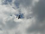     
: DSC03371.jpg
: 39
:	47.5 
ID:	11313573