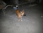    
: 20160710_213130.jpg
: 21
:	121.9 
ID:	11315331