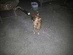     
: 20160710_213125.jpg
: 21
:	132.0 
ID:	11315335