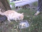     
: экзот кушает.jpg
: 16
:	187.8 
ID:	11315652