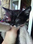     
: uSxhJ0WHkq0.jpg
: 12
:	72.6 
ID:	11315986