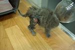     
: cscK-FPrEsA.jpg
: 30
:	132.3 
ID:	11319532