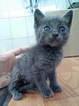     
: jMRGtnUqJus.jpg
: 32
:	68.2 
ID:	11319537